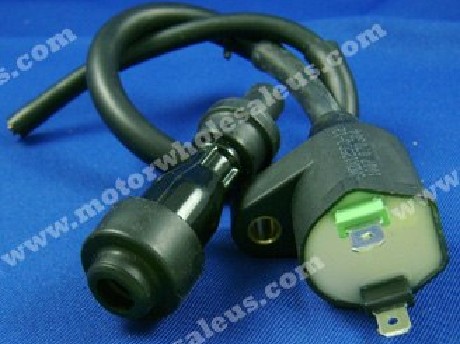 1269055292Coil22-Gator 250