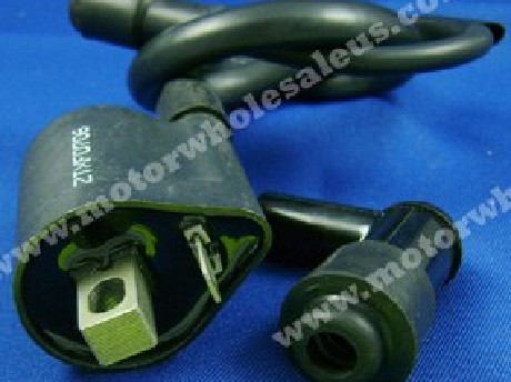 1269057749Coil05-Panther 125,150,200UT