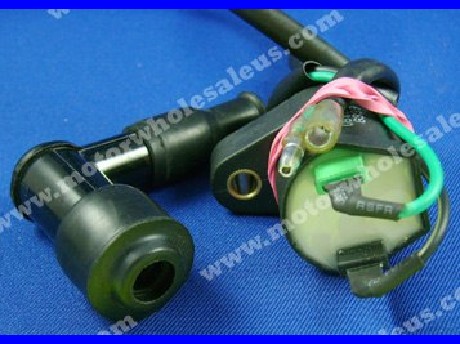 1269057866Coil03-Panther 110TTH-4