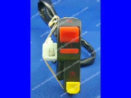 1269477036Kill And Start Switch02 Brancho 250