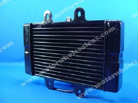 1269493022RADIATOR 05-GATOR250B