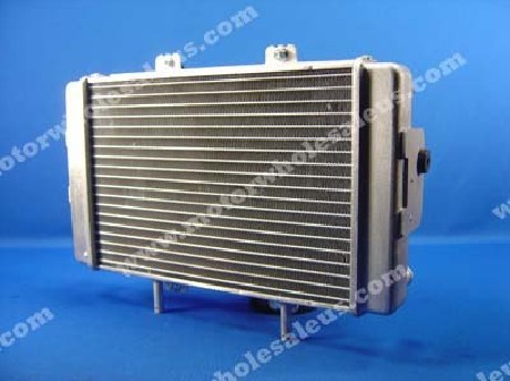 1269493036RADIATOR 04-PANTHER300ATV