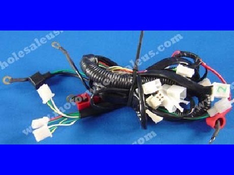 1269658755WIREHARNESS02-PANTHER110RX3
