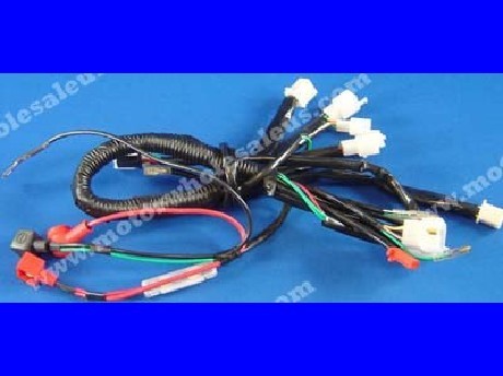 1269658884WIREHARNESS03-PANTHER110UT(OLD)