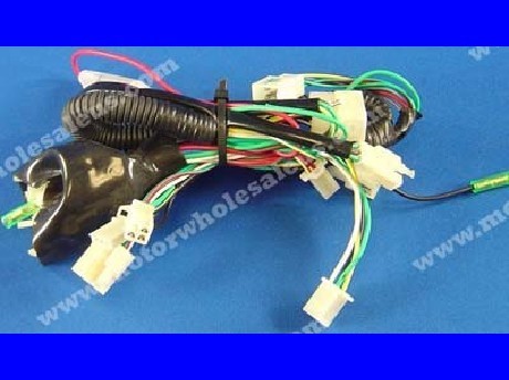 1269658949WIREHARNESS04-PANTHER200MD