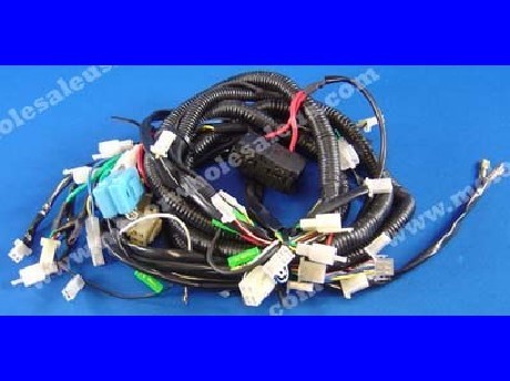 1269659055WIREHARNESS06-CYCLONE110JP