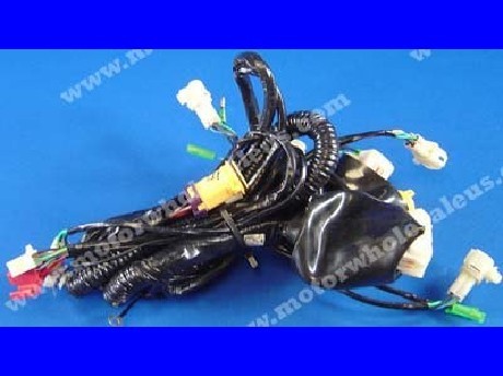 1269659236WIREHARNESS10-PANTHER250JS