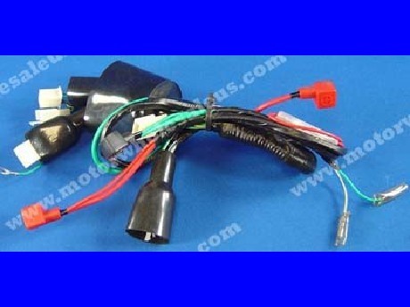 1269659250WIREHARNESS11-LEOPARD110