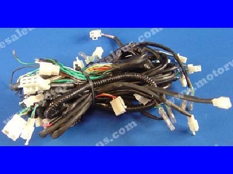 1269659284WIREHARNESS13-GATOR250