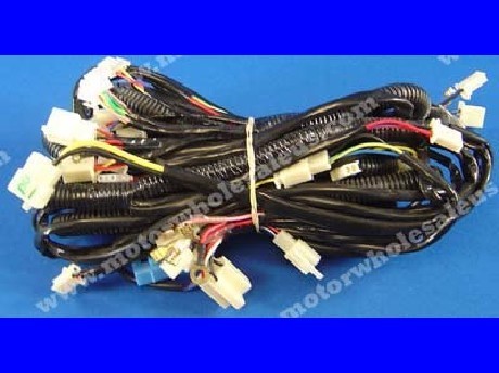 1269659358WIREHARNESS18-CYCLONE250RL
