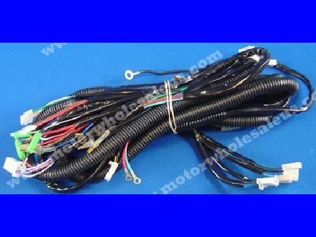1269659416WIREHARNESS20-CYCLONE110