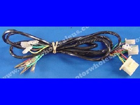 1269659436WIREHARNESS21-CYCLONE650JP