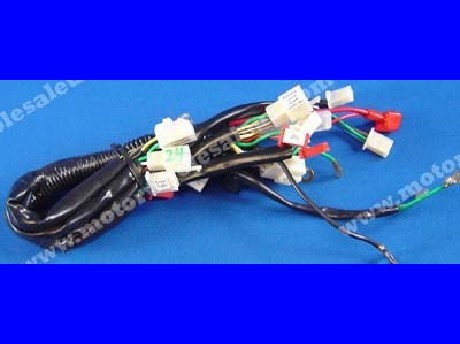 1269659478WIREHARNESS24-PANTHER110RX