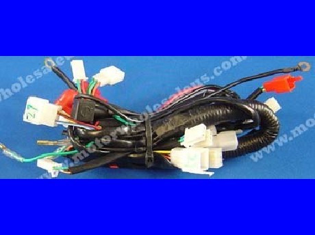 1269659528WIREHARNESS27-PANTHER110RX5