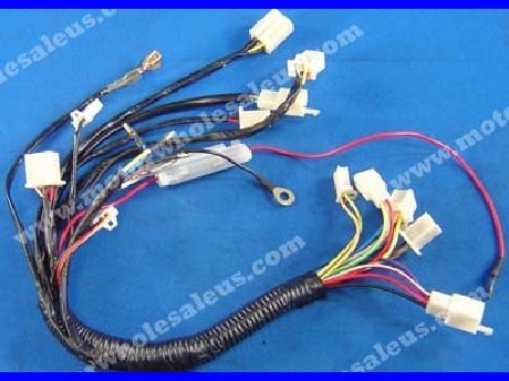 1269659557WIREHARNESS28-PANTHER110TTH4
