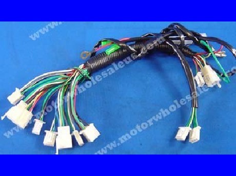 1269659580WIREHARNESS29-PANTHER110MD