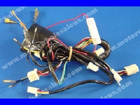 1269659602WIREHARNESS31-PANTHER110TTB