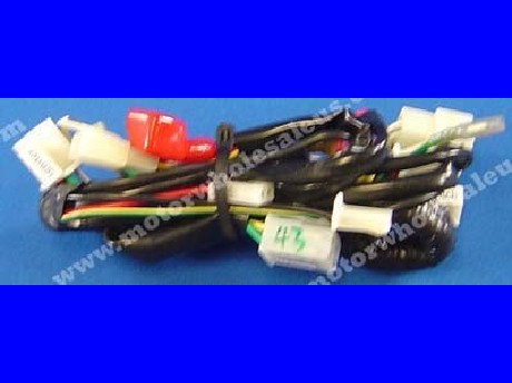 1269660830WIREHARNESS43-BRONCHO50