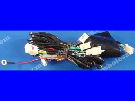 1269660856WIREHARNESS41-PANTHER250PL
