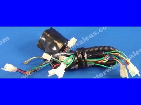 1269660933WIREHARNESS37-PANTHER125UT
