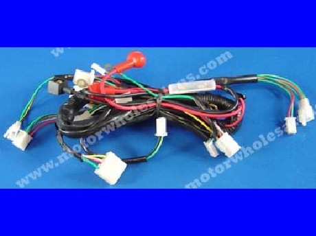 1269661026WIREHARNESS33-PANTHER110CL
