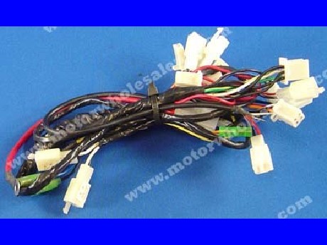 1269661243WIREHARNESS60-POCKET BIKE50