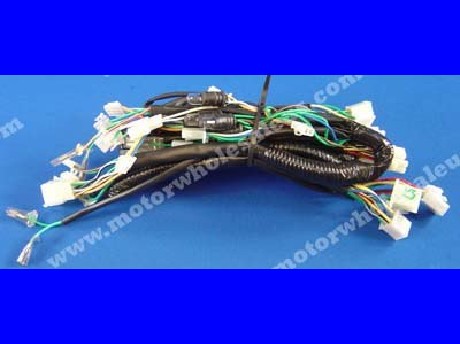 1269661285WIREHARNESS57-MAGNUM50L