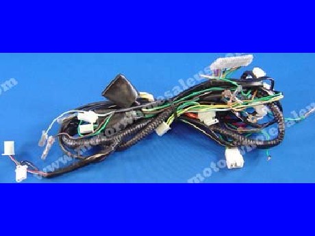 1269661311WIREHARNESS56-GATOR250T