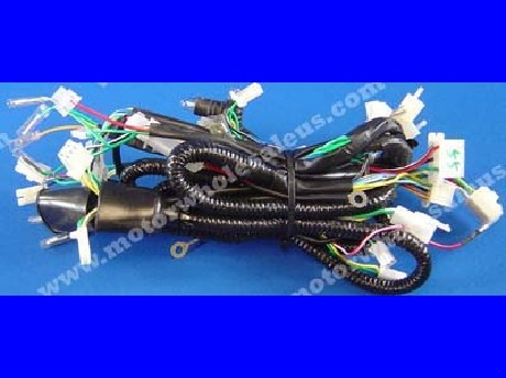 1269661332WIREHARNESS55-GATOR150R