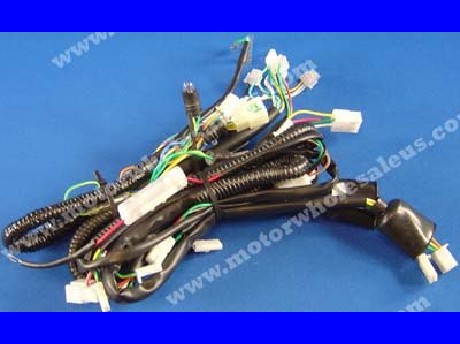 1269661381WIREHARNESS51-GATOR50