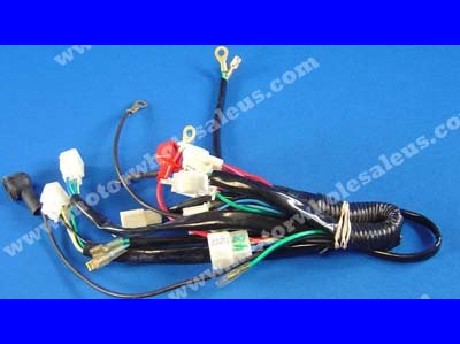 1269661433WIREHARNESS48-POCKET BIKE110PR