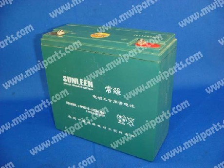 1337176432GENERATOR BATTERY 05