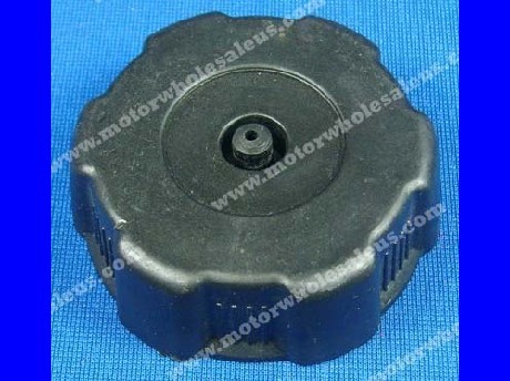 1269321457Gas Cap04- Brancho200